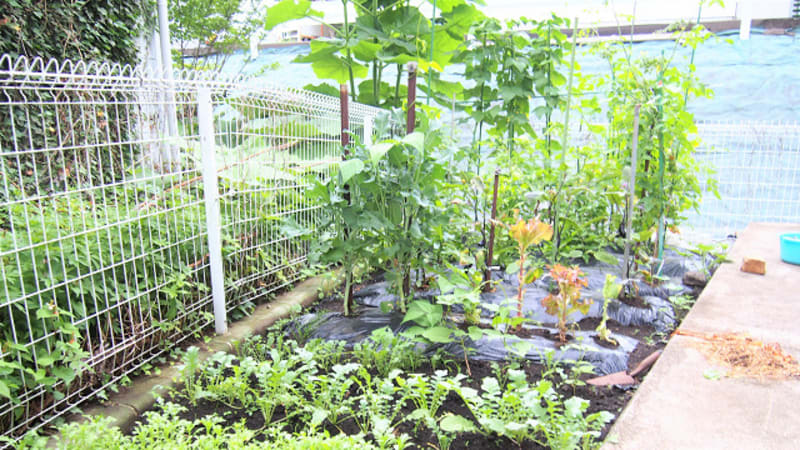 住宅型有料老人ホーム えくぼ 2号館