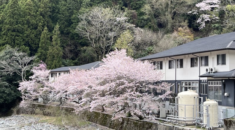 総合福祉施設　縁　西吉野