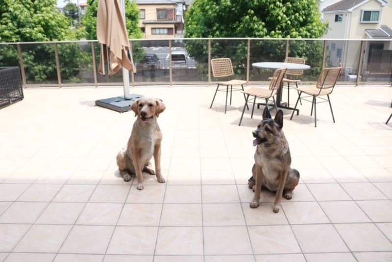 ニチイライフケア小金原デイサービスセンター