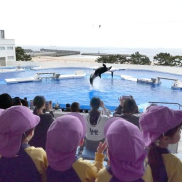 幼保連携型認定星の子こども園