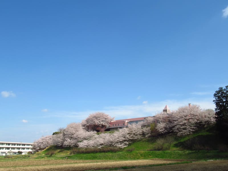 特別養護老人ホーム　ももよの丘