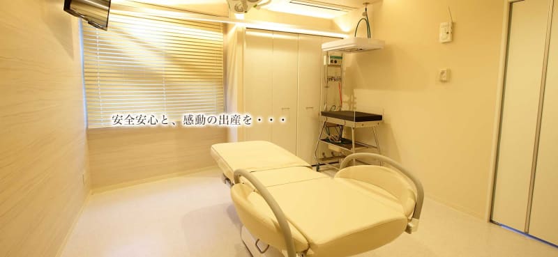 医療法人社団聖マリア会東京フェリシアレディースクリニック