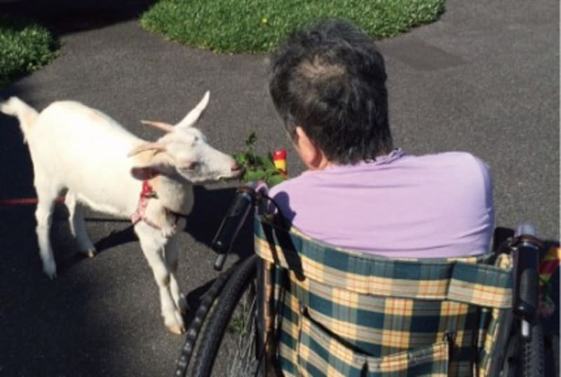 介護老人保健施設　たてがみの郷