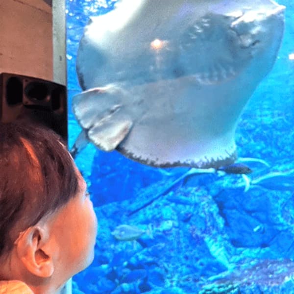 放課後等デイサービス HAMMOCK