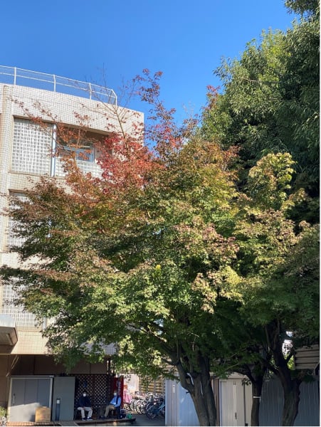 介護老人保健施設　埼玉ロイヤルケアセンター