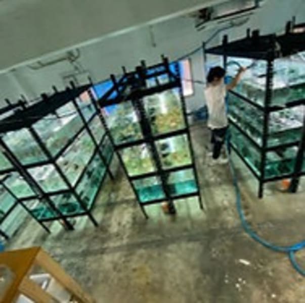 合同会社福ちゃん