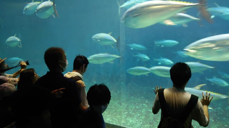 生活介護事業所ハッピーみつばち