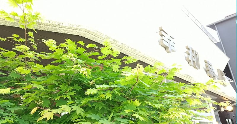 医療法人社団幸栄会幸和病院介護医療院