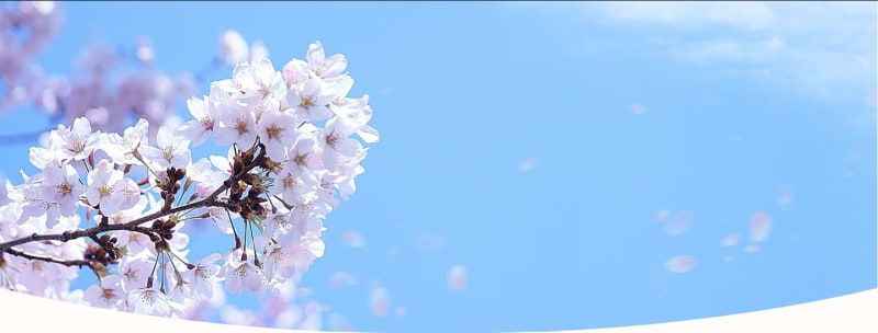 訪問看護リハステーション春