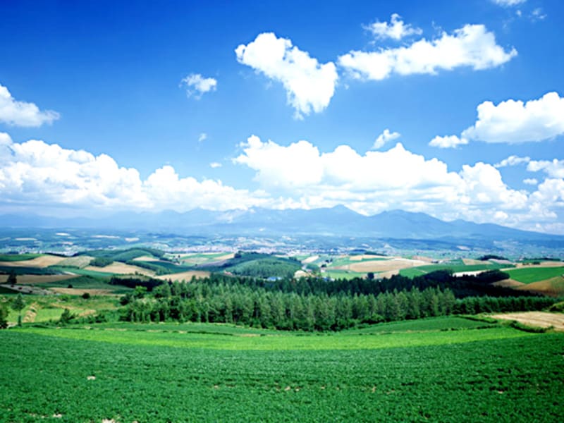 居宅介護支援センターあずま園